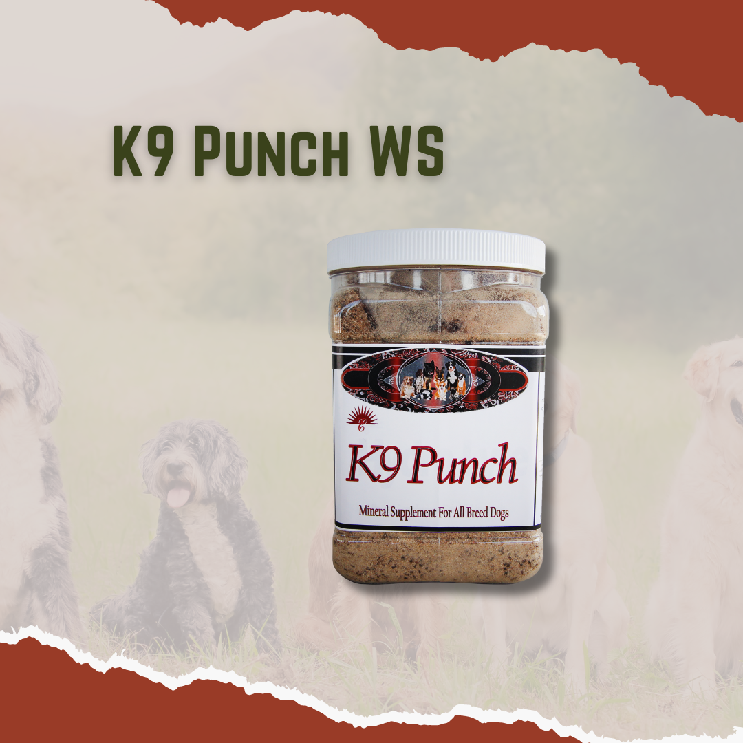 Container Of Elite Nutrition K9 Punch