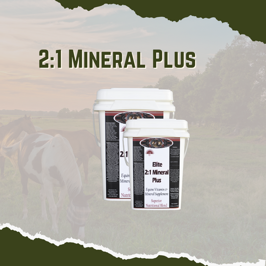 Equine 2:1 Plus Mineral
