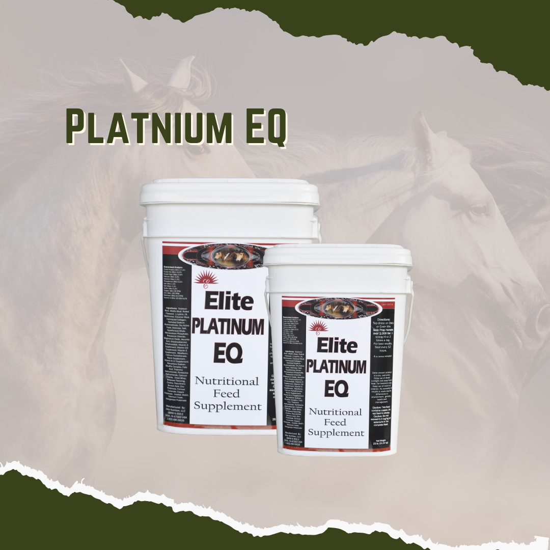 Equine Platnium EQ