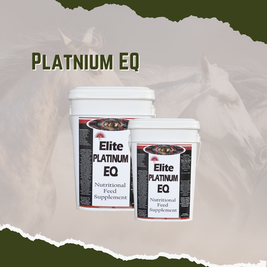 Equine Platnium EQ