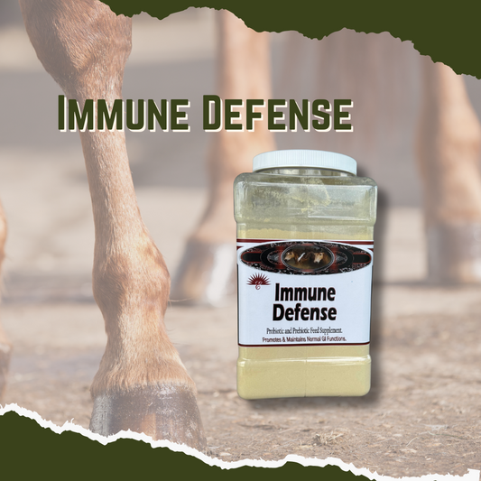 Immune Defense - Probiotic and Prebiotic Horse Feed Supplement