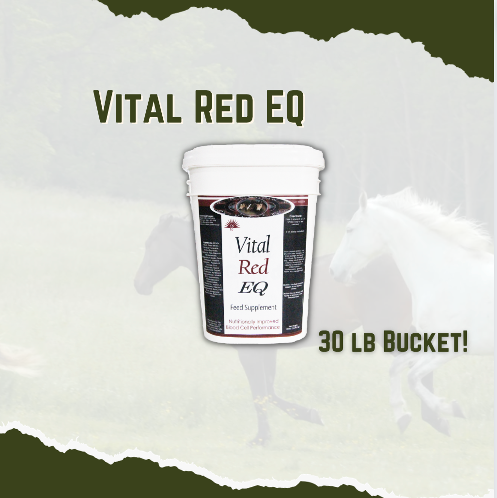 Equine Vital Red EQ - Improve Energy and Endurance While Building Healthy Red Blood Cells