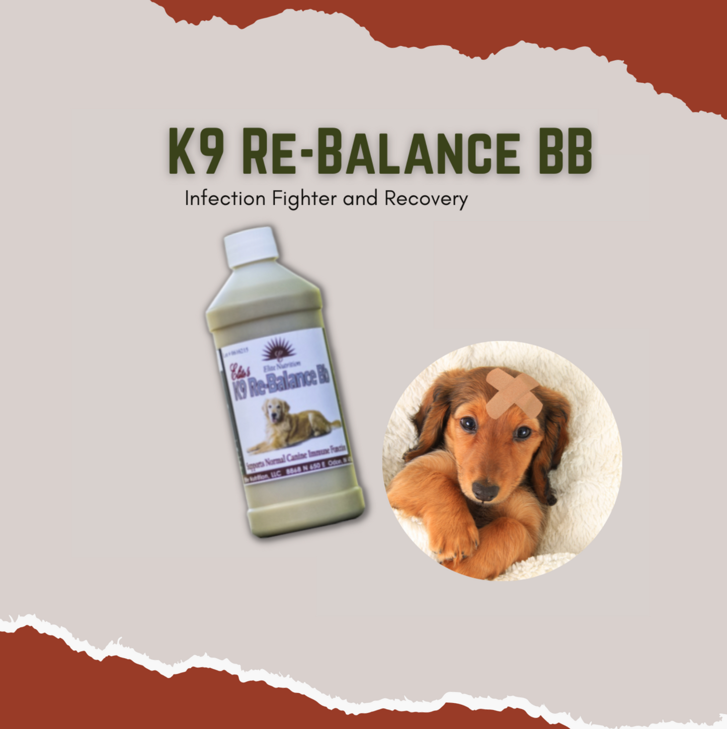 K9 Re Balance Bb - Infection Fighter & Recovery