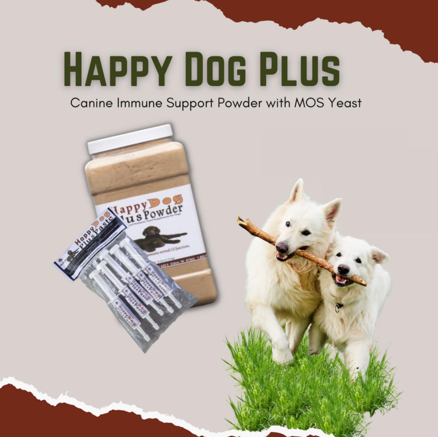 Happy Dog Plus Powder or Paste  - Canine Immunity Support