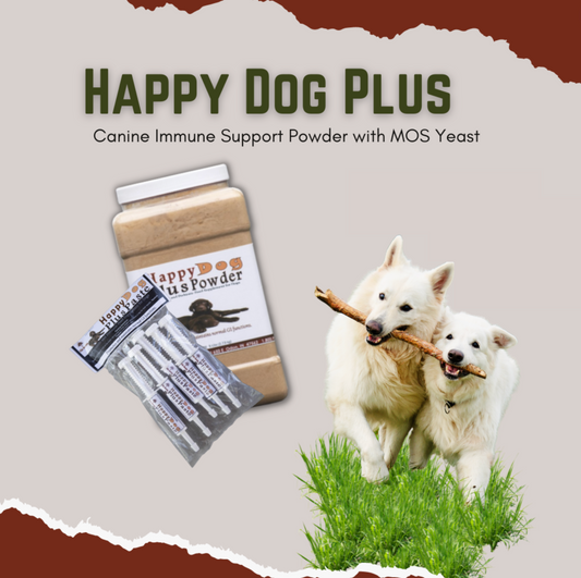Happy Dog Plus Powder or Paste  - Canine Immunity Support