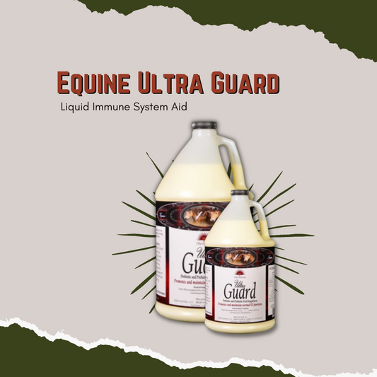 Liquid probiotic / Prebiotic blend Off-feed situations Long term ulcer care Helps in times of stress Hard to put or keep weight on Enhances shiny coat Our Ultra Guard is a unique,fast acting blend of Lactobacillus Acidophilus, a probiotic, & Chicory Root, a pre biotic. This blend promotes & maintains the natural microflora within the GI tract.