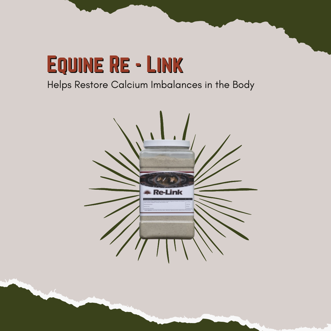 Equine Re- Link - Helps Restore Calcium Imbalances in the Body