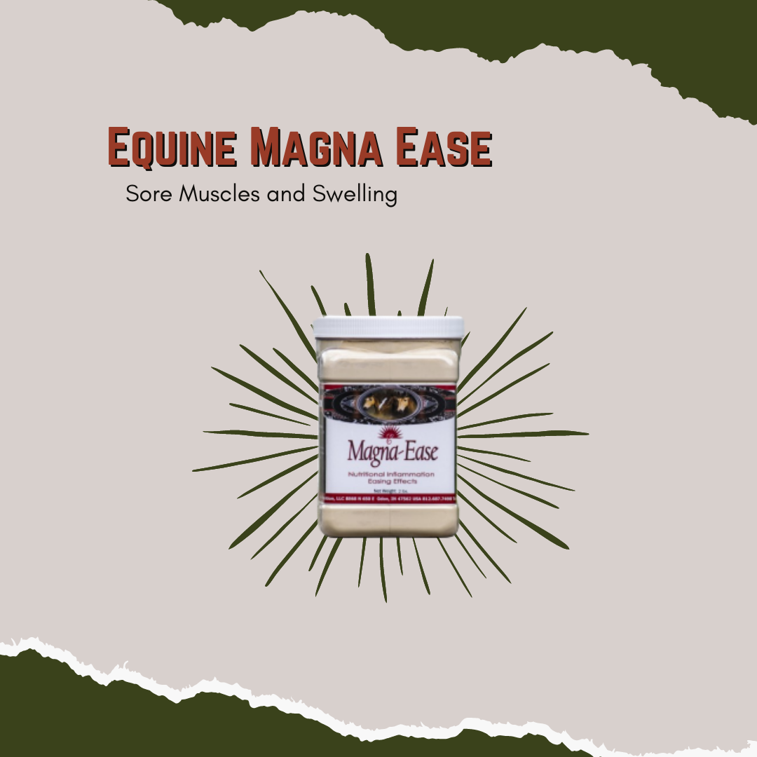 Equine Magna Ease - Sore Muscles and Swelling