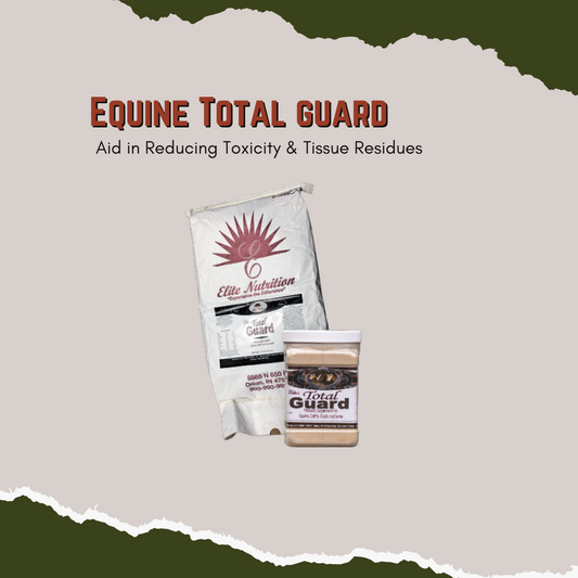 Equine Total Guard - Aid in Reducing Toxicity & Tissue Residues