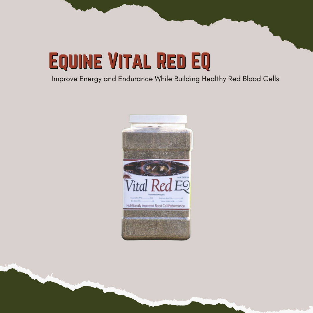 Energizing Effects for Increased Performance  May help improve poor appetite and help sick horses recover more quickly. Enhances oxygen levels and mood. Can increase energy levels through nutrition and better blood flow in the body