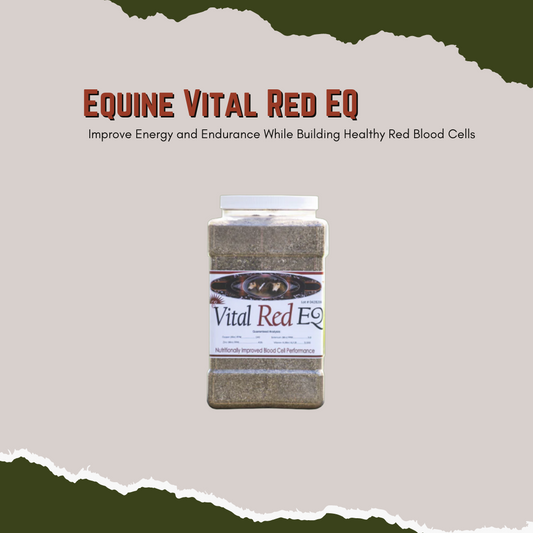 Energizing Effects for Increased Performance  May help improve poor appetite and help sick horses recover more quickly. Enhances oxygen levels and mood. Can increase energy levels through nutrition and better blood flow in the body