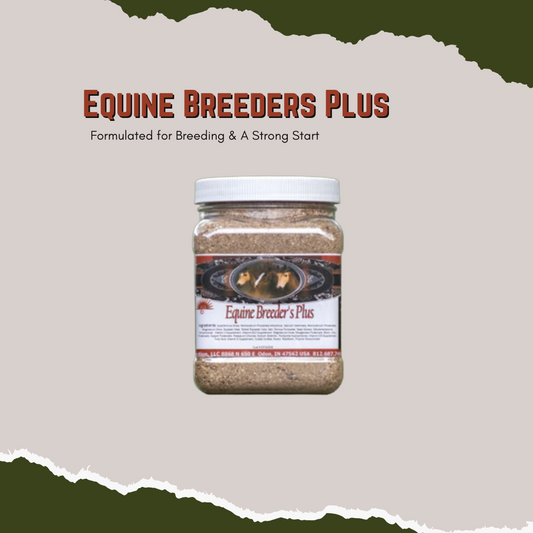 This scientifically formulated blend of chelated minerals, herbs and antioxidants is designed to provide optimum nutrition before, during and after breeding, providing a strong start for young horses.