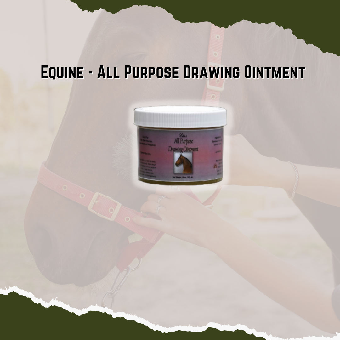 Equine All Purpose Drawing Ointment Elite Global