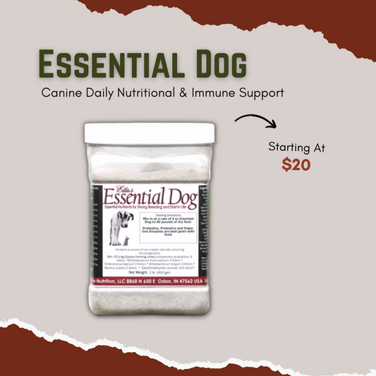 Essential Dog - Canine Daily Nutritional & Immune Support