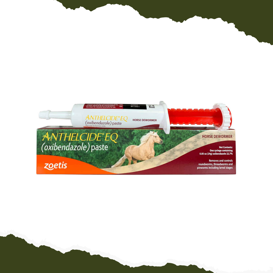 An image of a horse with a bottle of Elite Global Anthelcide - Horse Dewormer herbal supplement.