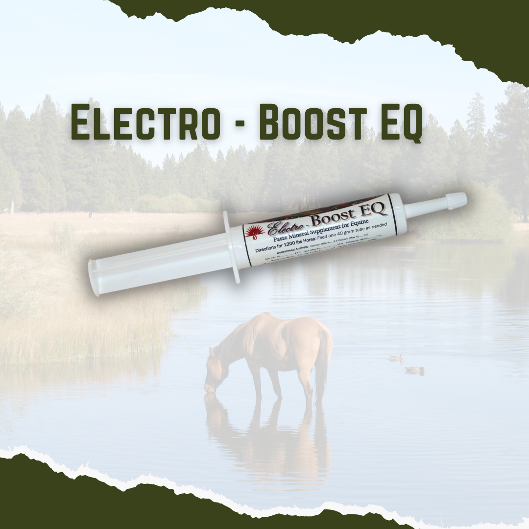 Size: 30 Gram Tube   Equine Electro Boost EQ is the perfect solution for providing your horse with quick and easy hydration. This innovative product allows you to ensure your horse is properly hydrated, even in high-pressure situations like travel, sales and shows.