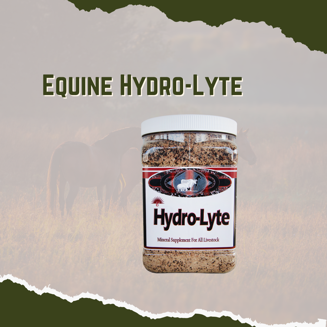 Container Of Elite Nutrition Equine Hydro Lyte