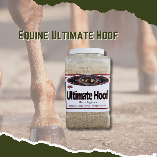 A container labeled 'Equine Ultimate Hoof' with a background showing a horse's hoof.
