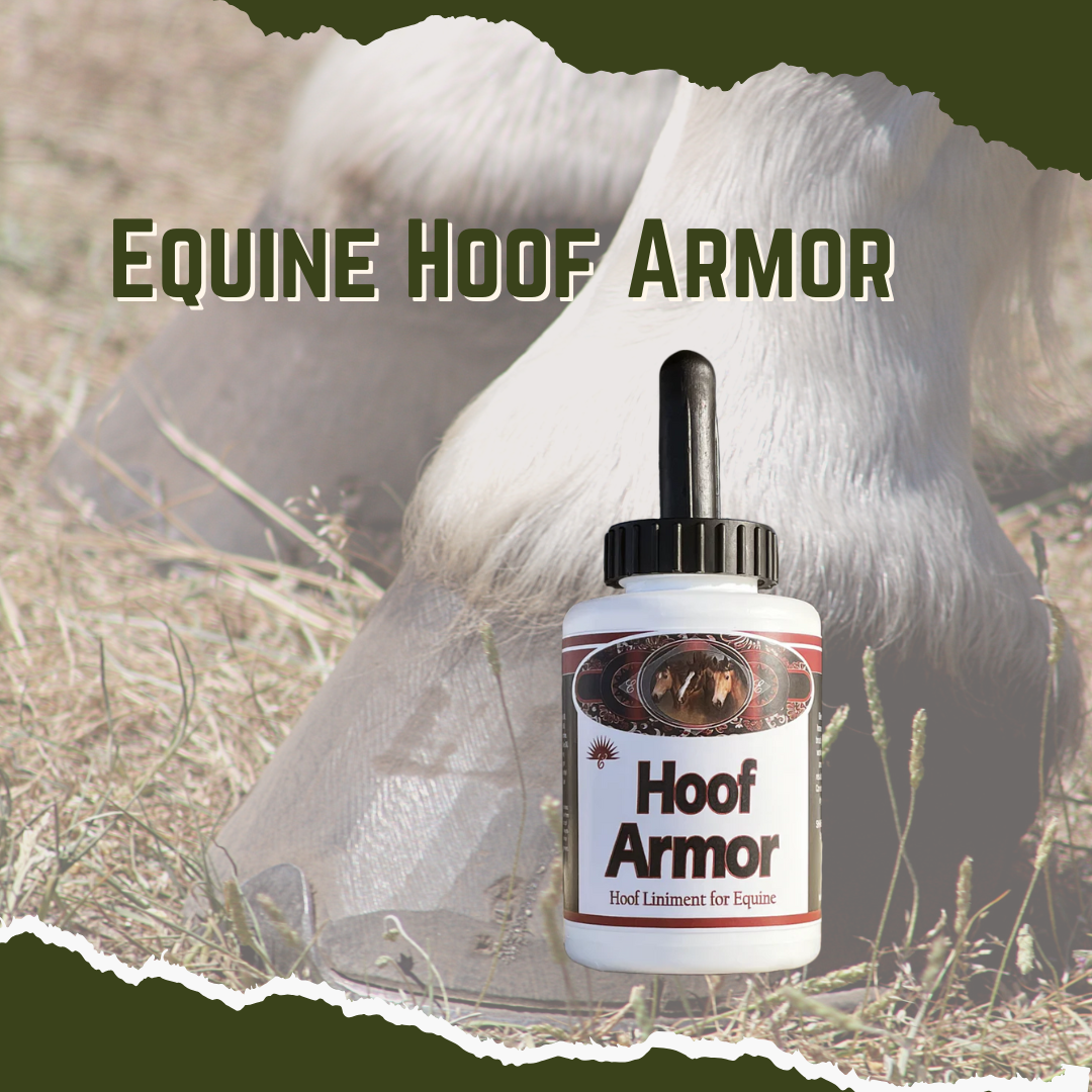 A bottle of Equine Hoof Armor placed against a background featuring a horse's hoof, with the product name and horse in the image.
