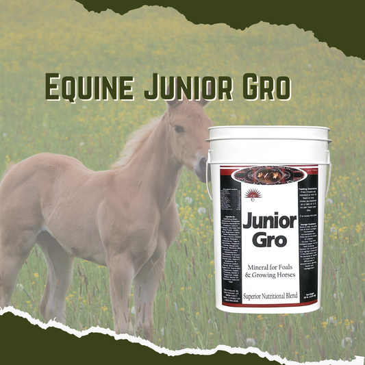 A white bucket of Equine Junior Gro horse feed with a young horse in the background standing in a field.