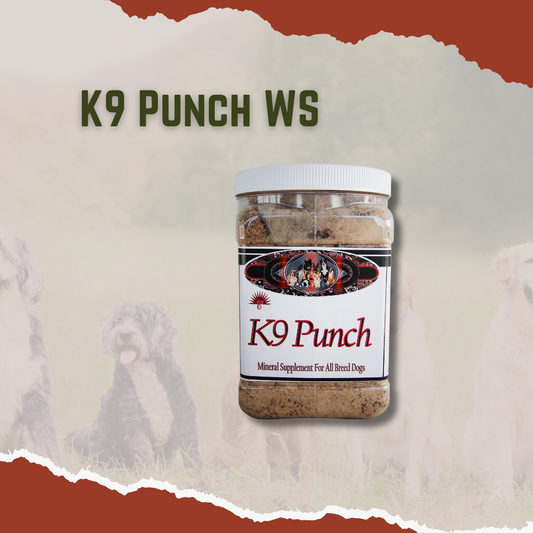 Container Of Elite Nutrition K9 Punch