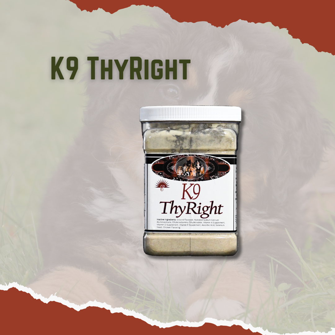 A container of K9 ThyRight dog supplement with a background featuring a dog.