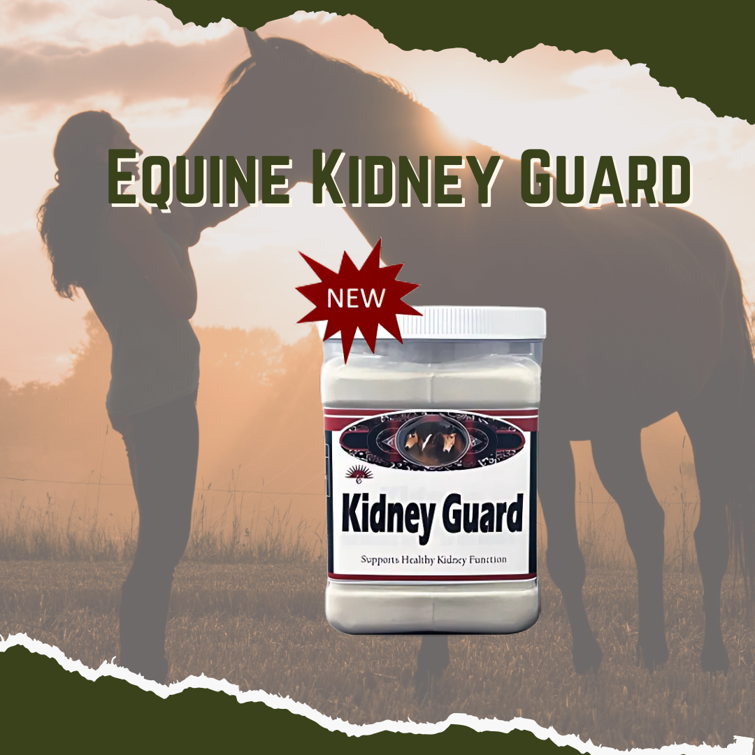 A container of Equine Kidney Guard supplement with a silhouette of a horse and rider in the background.