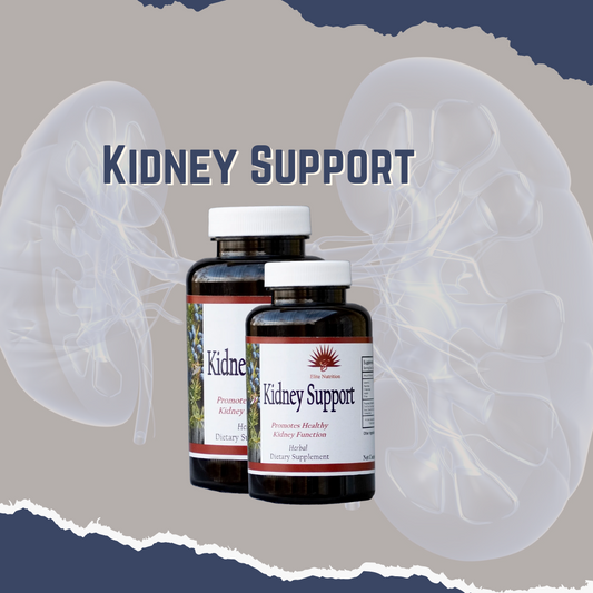 Two bottles of kidney support supplement with a graphical representation of the kidneys in the background.