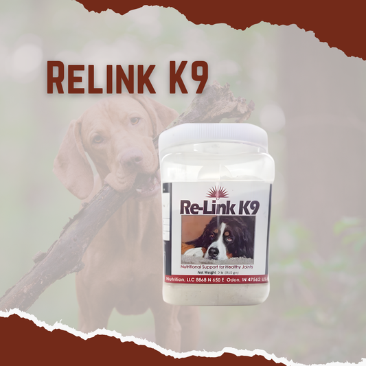 Re-Link K9 supplement container with a dog holding a stick in the background