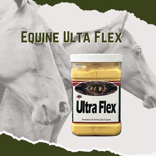A container of Ultra Flex supplement for horses, with images of horses in the background.