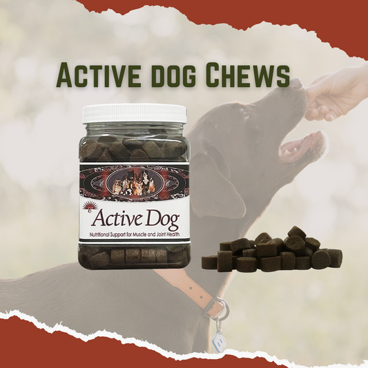 A jar of Active Dog Chews with a picture of a dog and the product scattered in front. The label on the jar reads 'Active Dog' and mentions joint and muscle support.