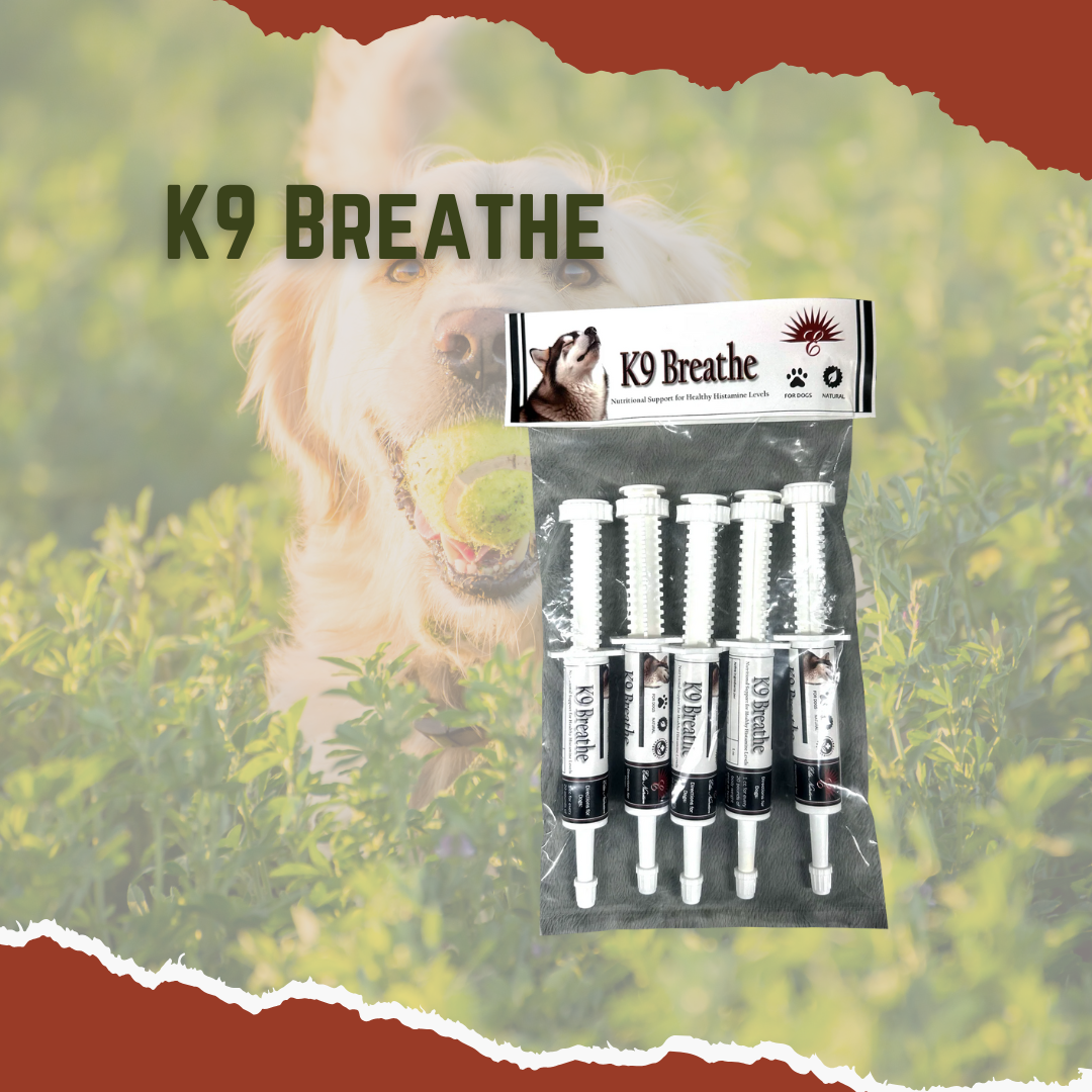 Packaging of K9 Breathe with a background image of a dog; the product is a tube supplement for dogs' allergies or breathing issues.
