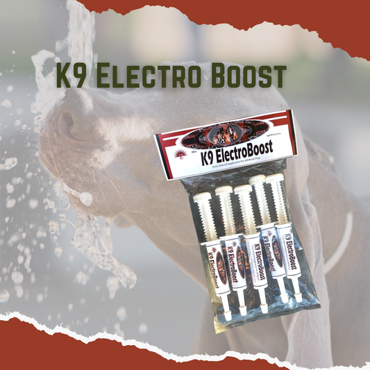 A package of K9 Electro Boost supplement tubes is displayed with an image of a dog in the background.