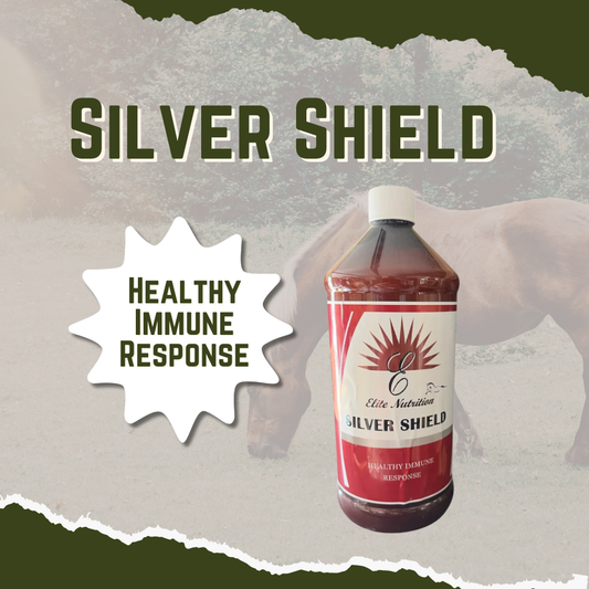 Bottle of Elite Nutrition Silver Shield with text about healthy immune response on a textured background
