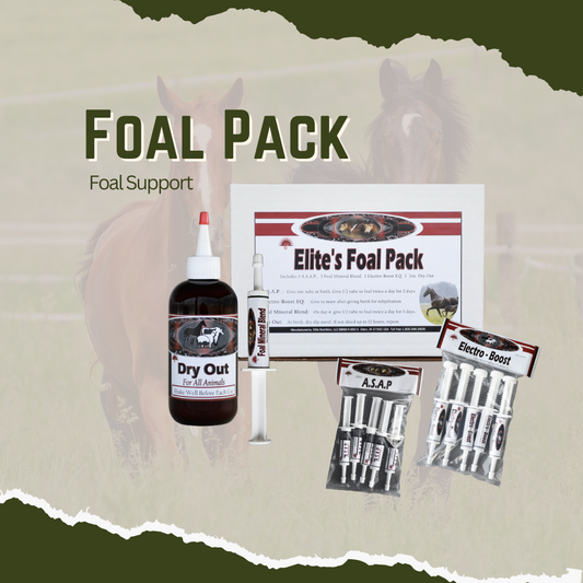 Equine Foal Pack