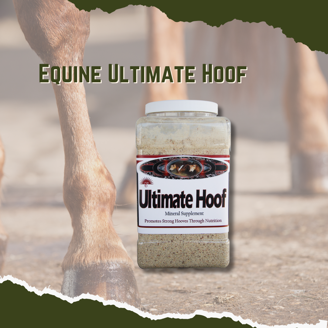 Equine Ultimate Hoof