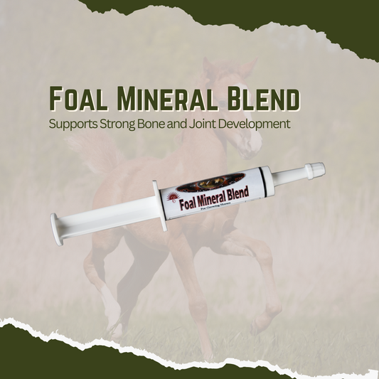 Equine Foal Mineral Blend - Supports Strong Bone and Joint Development