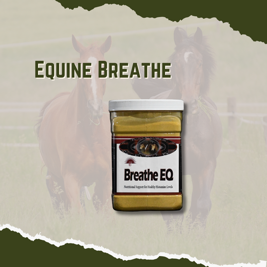 Equine Breathe EQ