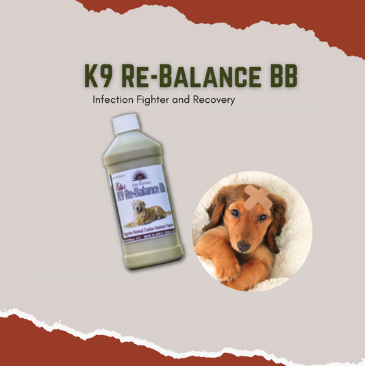 K9 Re Balance Bb - Infection Fighter & Recovery