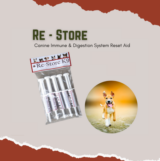 Re Store K9 - Canine Digestive Reset and Support