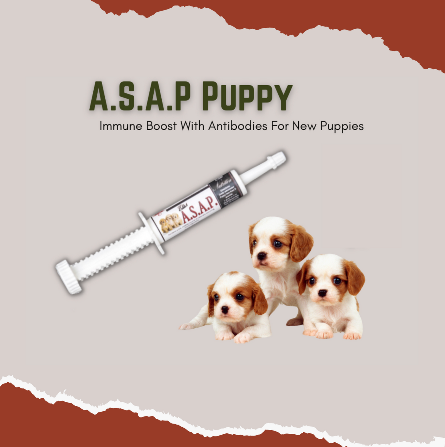 A.S.A.P - Immune Booster For New Puppies