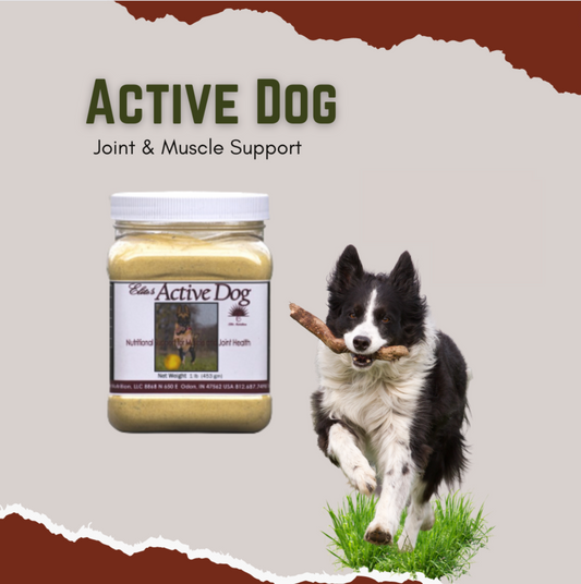 Active Dog - Joint & Muscle Support