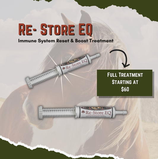 Equine Restore EQ - Immune System Reset & Boost