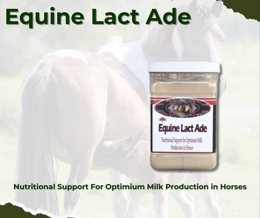 Equine Lact Ade - Lactation Support Blend of Herbs & Nutrients