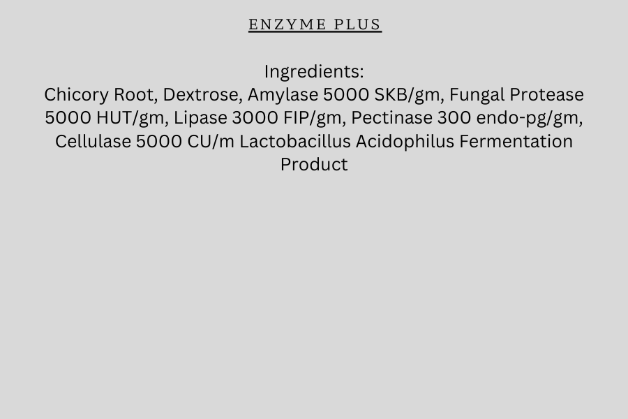 Enzyme Plus - Digestion Aid