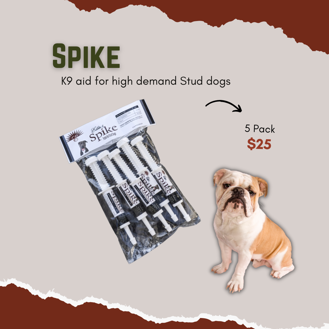 Spike - 5 Pack (12 Gram Tube)  Herbal blend created for studs during times of high demand, or if the stud is showing a lack of "interest"