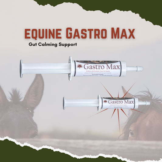 Size: 75 Gram Tube - Developed for colic situations, very effective when caught early. Can also be used for stress situations, bellyaches or sick horses. Contains A Source of Live (viable) Naturally Occurring Microorganisms. A paste blend of Probiotics and Prebiotics to be given as needed. Both Probiotics and Prebiotics have been known to boost immune function.