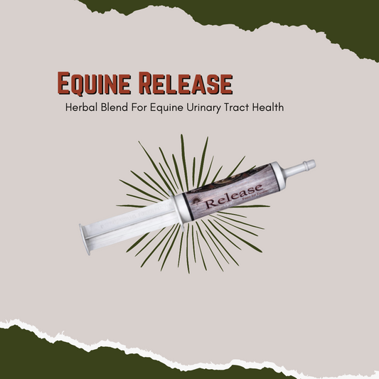 Single 75 Gram Tube  This amazing herbal blend was created to help relax the body so the horse is able to urinate properly also an effective aid against azoturia, tie - up and urinary tract infection issues.