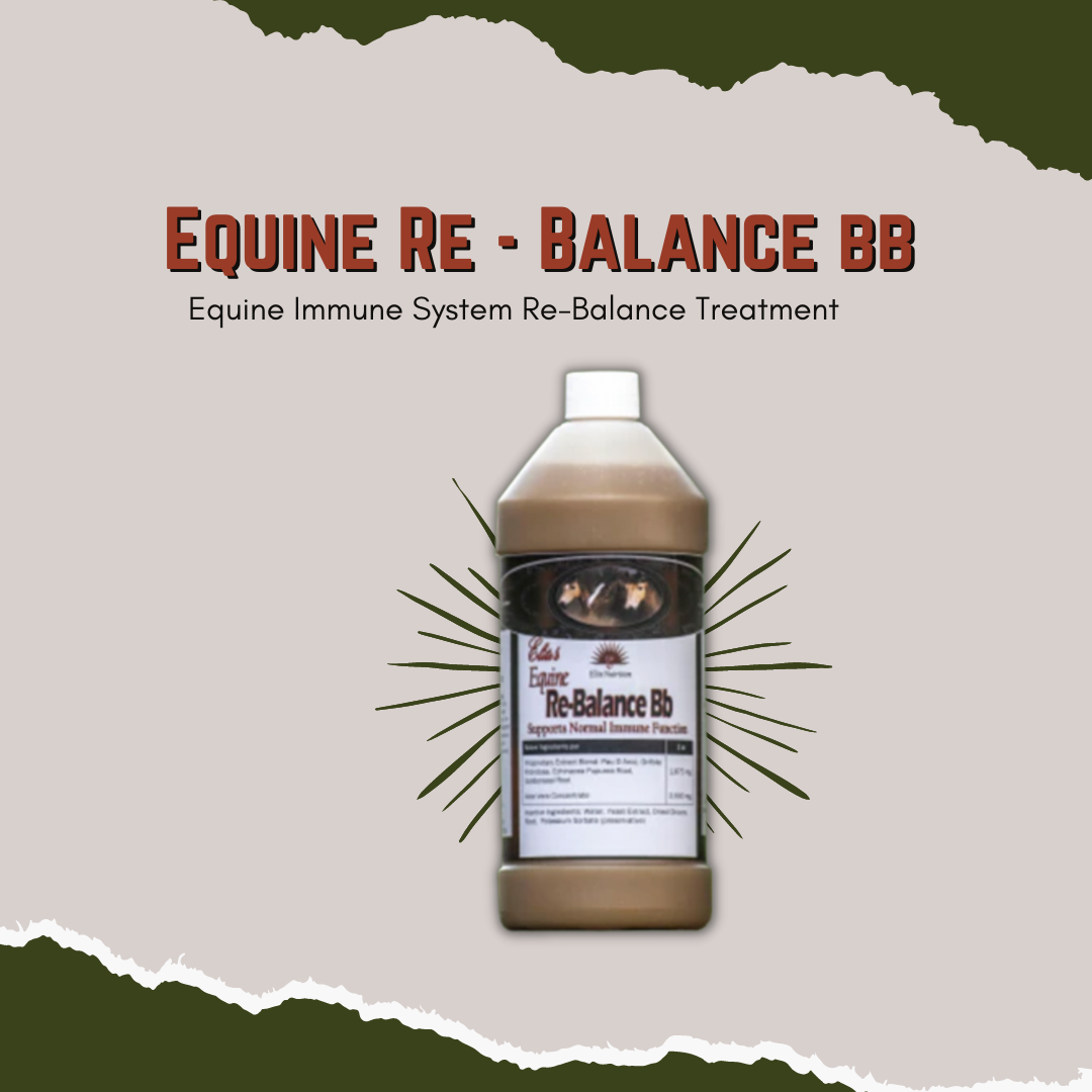 Equine Rebalance Bb - Equine Immune System Re-Balance Treatment