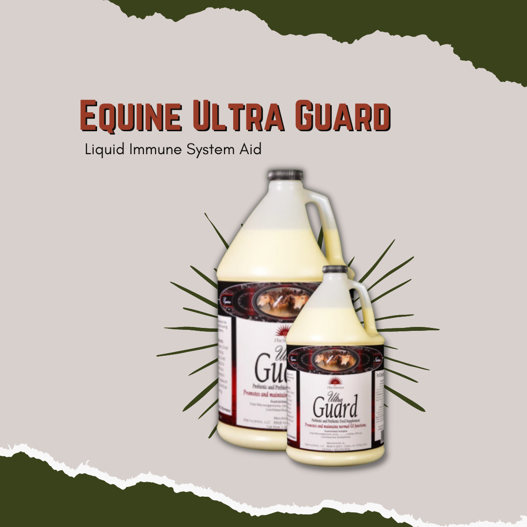 Equine Ultra Guard - Liquid Immune System Aid
